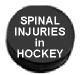 spinal injuries link